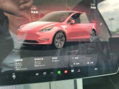 Tesla Model Y Rear-Wheel Drive - ფოტო 11