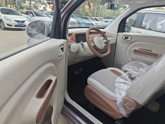 FAW Besturn Xiaoma 222km Colorful Edition - ფოტო 15