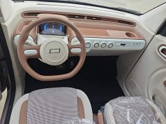 FAW Besturn Xiaoma 222km Colorful Edition - ფოტო 9