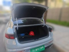 Geely Xingrui 2.0T Diesel Spacetime Edition Bright Moon - фото 9