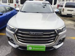Haval H6 National Trend 1.5T Automatic Champion Edition - ფოტო 2
