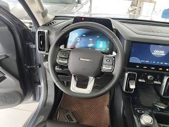 Great Wall Dachshund 2.0T DCT Four-Wheel Drive Howling Celestial Dog Edition - ფოტო 10