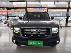 Great Wall Dachshund 2.0T DCT Four-Wheel Drive Howling Celestial Dog Edition - ფოტო 2
