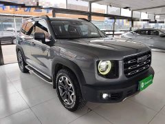 Great Wall Dachshund 2.0T DCT Four-Wheel Drive Howling Celestial Dog Edition - ფოტო 3