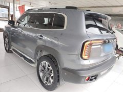 Great Wall Dachshund 2.0T DCT Four-Wheel Drive Howling Celestial Dog Edition - ფოტო 4