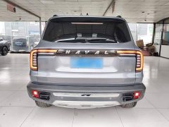 Great Wall Dachshund 2.0T DCT Four-Wheel Drive Howling Celestial Dog Edition - ფოტო 5