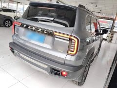 Great Wall Dachshund 2.0T DCT Four-Wheel Drive Howling Celestial Dog Edition - ფოტო 6