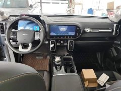 Great Wall Dachshund 2.0T DCT Four-Wheel Drive Howling Celestial Dog Edition - ფოტო 9