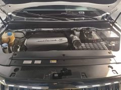 GAC Aion GS8 GS8S 390T Two-Wheel Drive Luxury Smart Connected Edition - photo 19