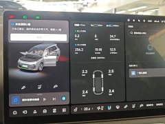Li Auto L9 Max - ფოტო 11