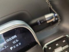 Li Auto L9 Max - ფოტო 13