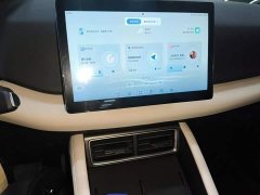 BYD Yuan UP 301KM Pilot Edition - photo 12
