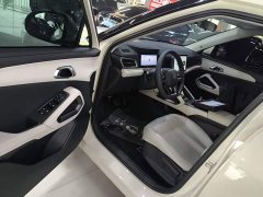 BYD Yuan UP 301KM Pilot Edition - photo 15