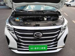 GAC Aion M8 Lingxiu Series 390T Luxury Edition - photo 19