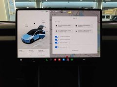 Tesla Model Y Facelift Long Range All-Wheel Drive - ფოტო 12