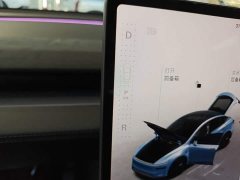 Tesla Model Y Facelift Long Range All-Wheel Drive - ფოტო 13