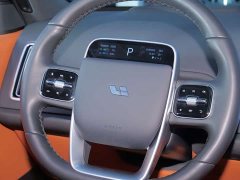 Li Auto L6 Max - ფოტო 11