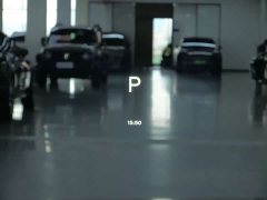 Li Auto L6 Max - ფოტო 12