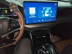 BYD Yuan Plus DM-i 2.0T AWD High Performance Genesis Flagship - photo 12