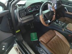 BYD Yuan Plus DM-i 2.0T AWD High Performance Genesis Flagship - photo 15