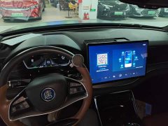 BYD Yuan Plus DM-i 2.0T AWD High Performance Genesis Flagship - photo 9