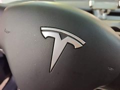 Tesla Model 3 Standard Range RWD Upgrade 3D6 - ფოტო 11