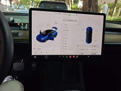 Tesla Model 3 Standard Range RWD Upgrade 3D6 - ფოტო 3