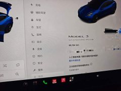 Tesla Model 3 Standard Range RWD Upgrade 3D6 - ფოტო 4