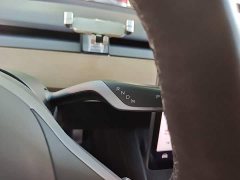 Tesla Model 3 Standard Range RWD Upgrade 3D6 - ფოტო 6