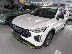 Haval Chitu Jingxiang Edition 1.5T Purple Copper Rabbit - ფოტო 1