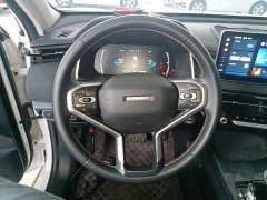 Haval Chitu Jingxiang Edition 1.5T Purple Copper Rabbit - ფოტო 10