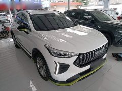 Haval Chitu Jingxiang Edition 1.5T Purple Copper Rabbit - ფოტო 3
