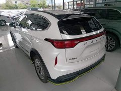 Haval Chitu Jingxiang Edition 1.5T Purple Copper Rabbit - ფოტო 4