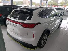 Haval Chitu Jingxiang Edition 1.5T Purple Copper Rabbit - ფოტო 6