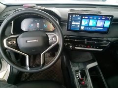 Haval Chitu Jingxiang Edition 1.5T Purple Copper Rabbit - ფოტო 9