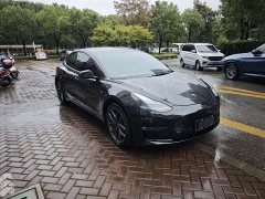 Tesla Model 3 Performance All-Wheel Drive - ფოტო 2