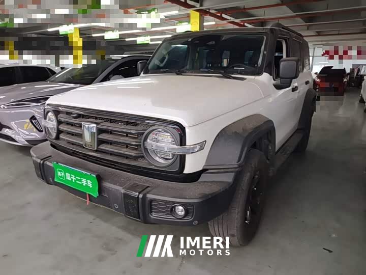 Tank 300 Off-Road Edition 2.0T Conqueror - ავტომობილი ჩინეთიდან