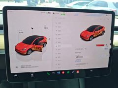 Tesla Model Y Rear-Wheel Drive - ფოტო 11