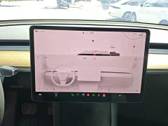 Tesla Model Y Rear-Wheel Drive - ფოტო 12