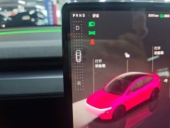 Tesla Model Y Rear-Wheel Drive - ფოტო 13