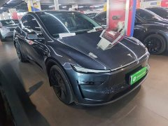 Tesla Model Y Rear-Wheel Drive - ფოტო 3