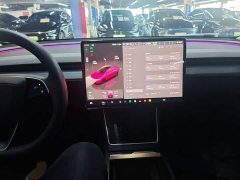 Tesla Model Y Rear-Wheel Drive - ფოტო 9
