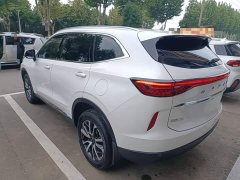 Haval H6 3rd Gen 1.5T Automatic Lexiang Edition - ფოტო 4