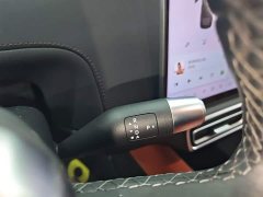 Li Auto L6 Pro - ფოტო 13