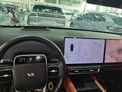 Li Auto L6 Pro - ფოტო 9