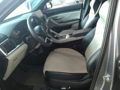 BYD Song Plus New Energy DM-i 51KM Premium Edition - photo 14