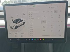 Tesla Model Y Rear-Wheel Drive - ფოტო 11