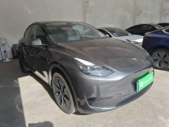 Tesla Model Y Rear-Wheel Drive - ფოტო 3