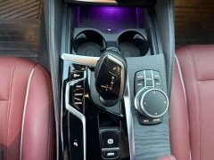 BMW 5 Series 530Li Premier M Sport Package - ფოტო 11