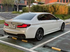 BMW 5 Series 530Li Premier M Sport Package - ფოტო 15